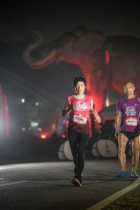 BIB: 
                            <button type="button" onclick="openModal(26531191)" class="btn btn-primary btn-sm float-right btn-popup" data-toggle="modal" data-target=".modal-high-quality">
                        <i class="fas fa-shopping-cart"></i> Add to Cart
                    </button>
                                            <button type="button" onclick="isThisMe(26531191, true)" class="btn btn-success btn-sm float-right btn-popup btn-isme hidden" data-toggle="tooltip" data-placement="bottom" title="นี่คือรูปของคุณใช่ไหม คลิกที่นี่เพื่อเอาเข้าอัลบั้ม">
                        <i class="fas fa-plus"></i> Add to album
                    </button>
                    <button type="button" onclick="isThisMe(26531191, false)" class="btn btn-warning btn-sm float-right btn-popup btn-isnotme hidden">
                        <i class="fas fa-ban"></i> Remove from album
                    </button>